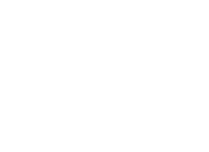sdi